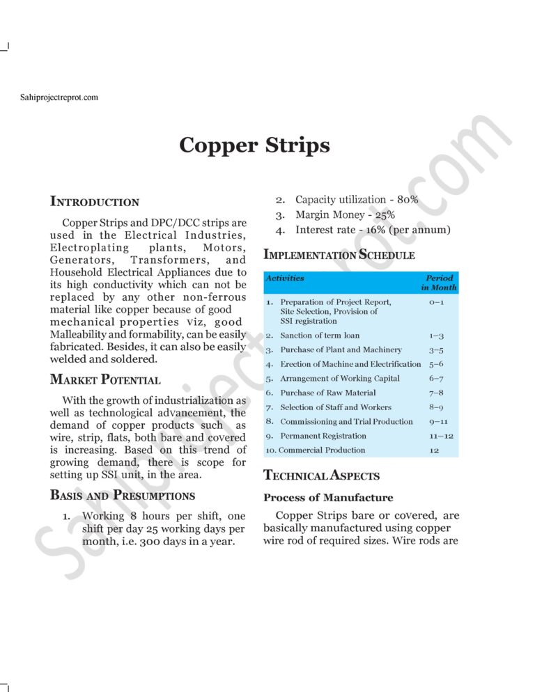 Read more about the article Sahi project report for  Copper Strips