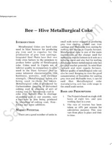 Read more about the article Sahi project report for  Bee – Hive Metallurgical Coke