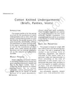 Read more about the article Sahi project report for Cotton Knitted Undergarments  ( Briefs, Panties, Vests)