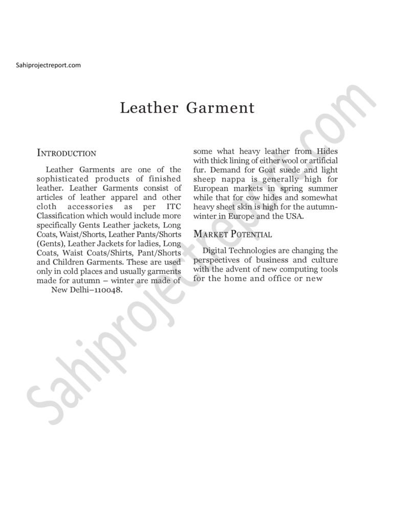 Read more about the article Sahi project report for Leather Garment