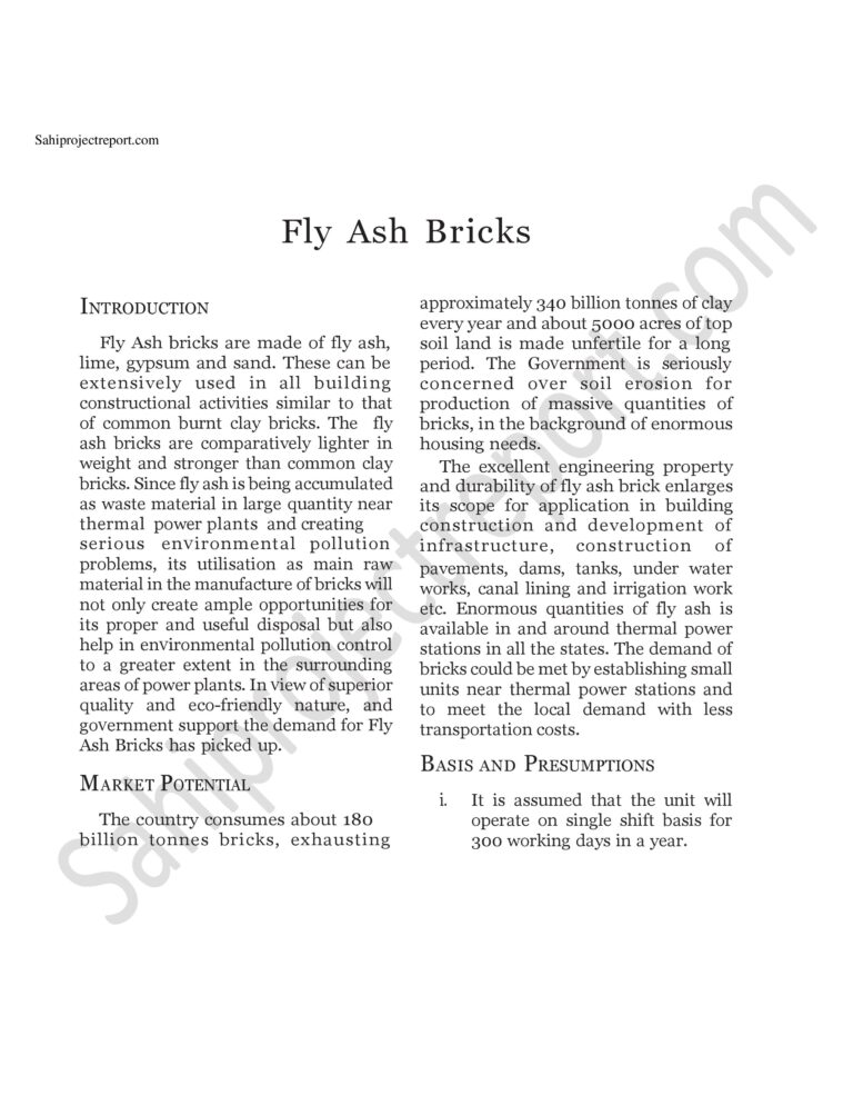 Read more about the article Sahi project report for  Fly Ash Bricks