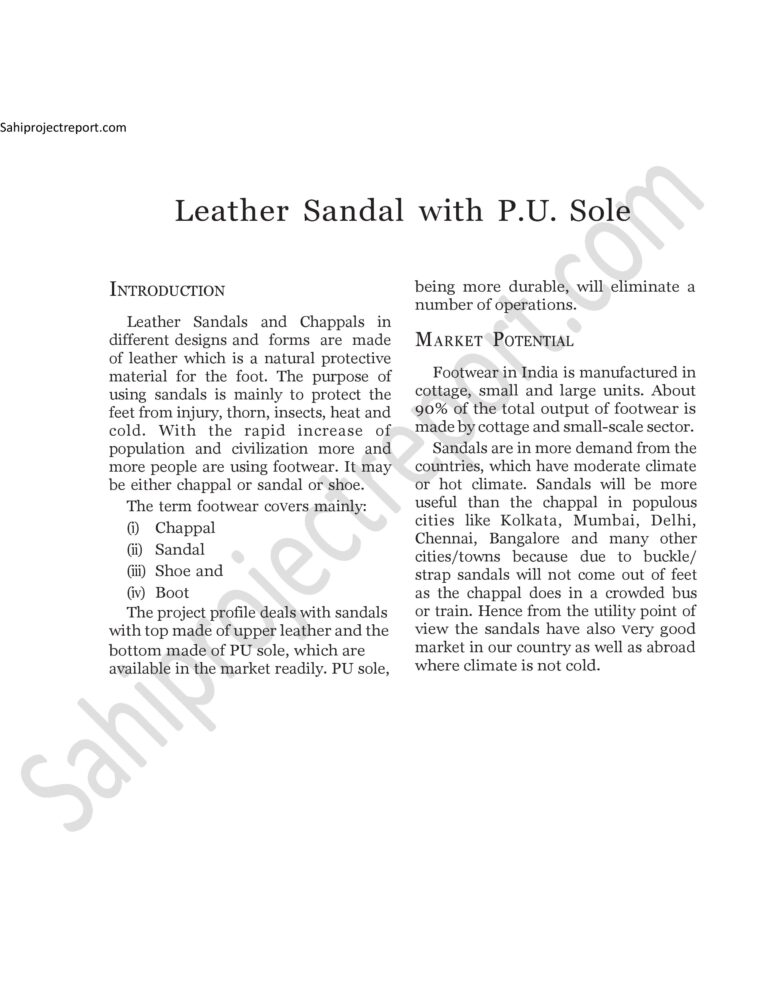 Read more about the article Sahi project report for  Leather Sandal with P.U. Sole