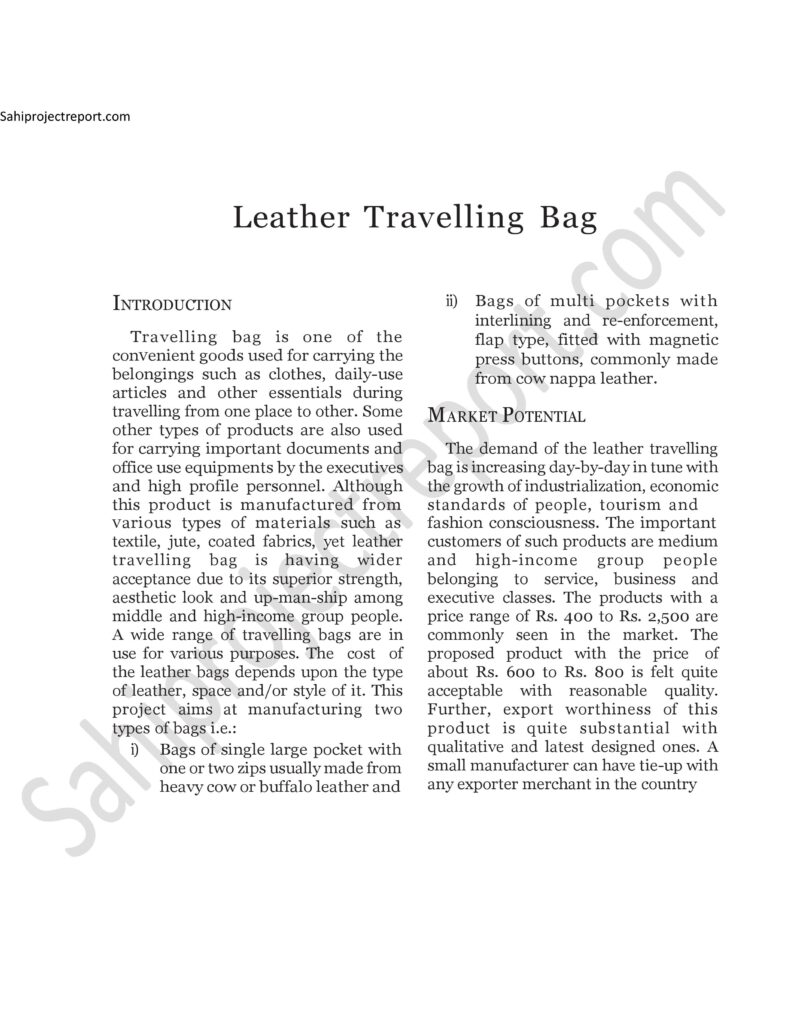 ch138 Sahi project report for Leather Travelling Bag