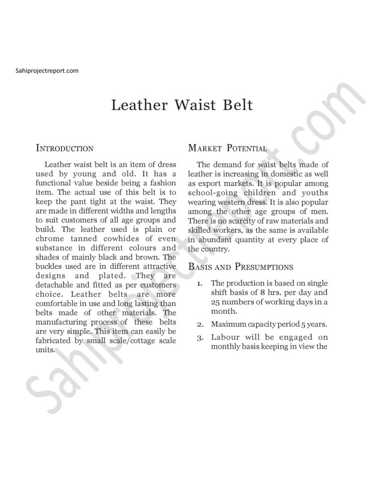 Read more about the article Sahi project report for Leather Waist Belt