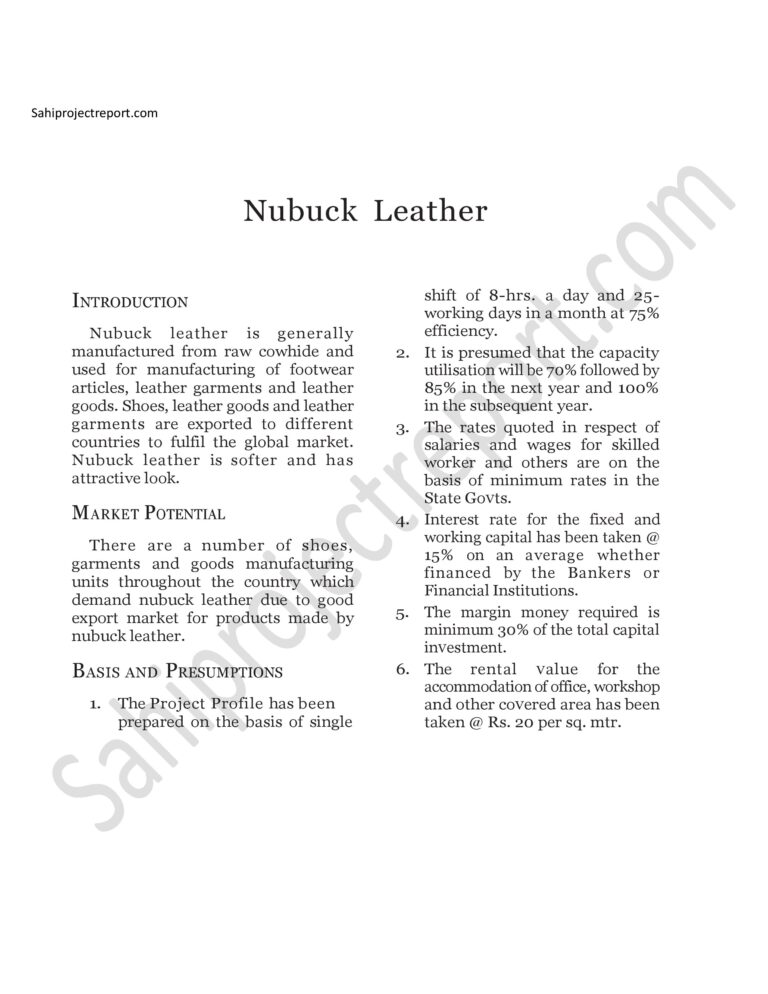 Read more about the article Sahi project report for   Nubuck Leather