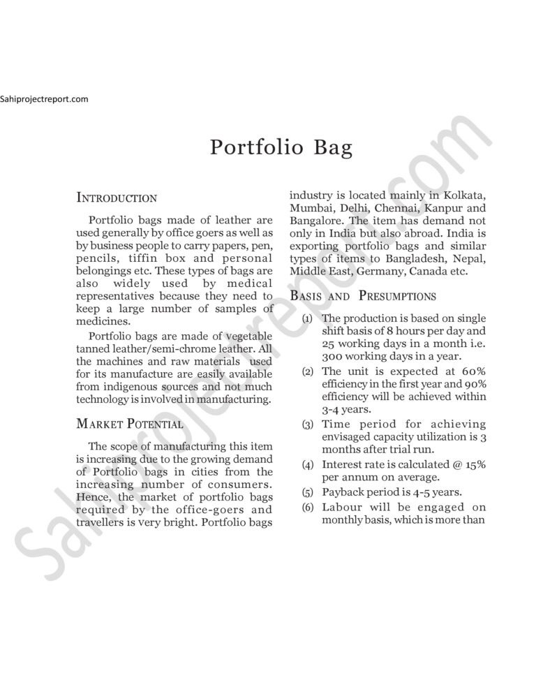 Read more about the article Sahi project report for  Portfolio Bag