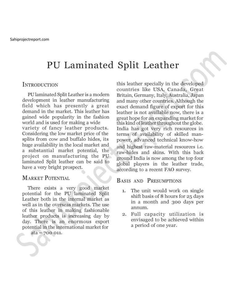 Read more about the article Sahi project report for  PU Laminated Split Leather