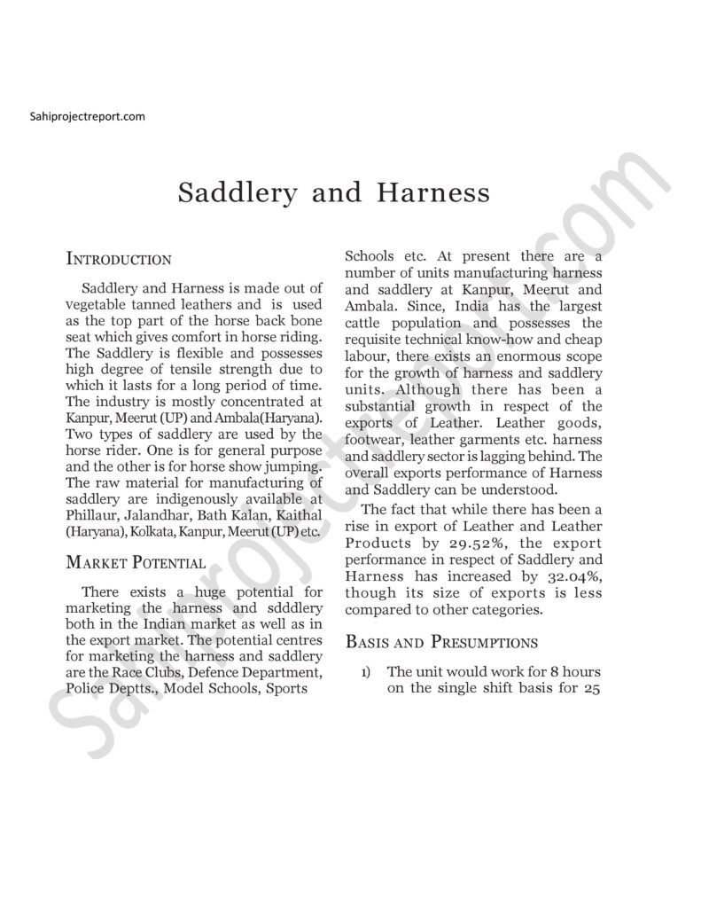 ch197 1 Sahi project report for Saddlery and Harness