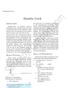 Read more about the article Sahi project report for  Shuttle Cock