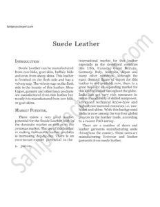 Read more about the article Sahi project report for  Suede Leather