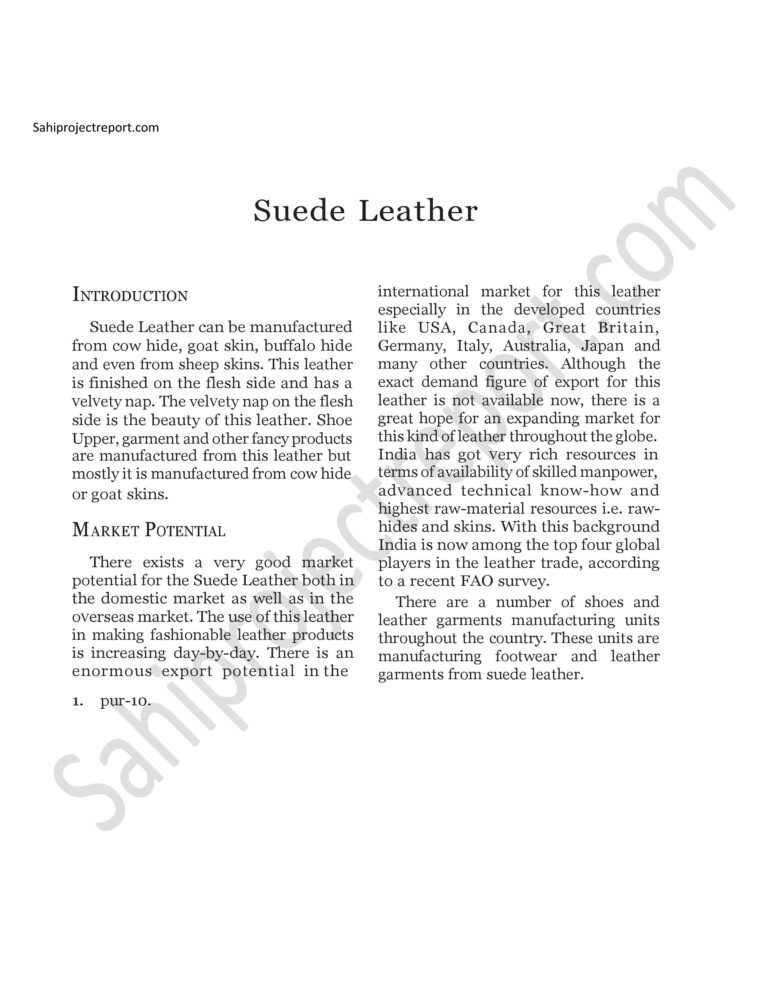 Read more about the article Sahi project report for  Suede Leather