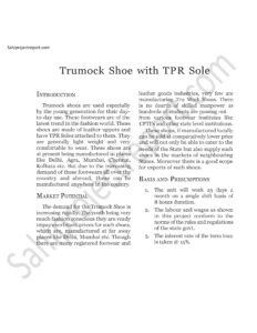 Read more about the article Sahi project report for   Trumock Shoe with TPR Sole