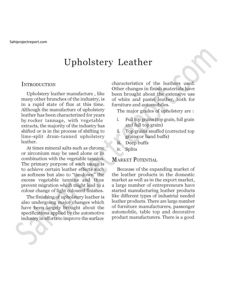 Read more about the article Sahi project report for  Upholstery Leather