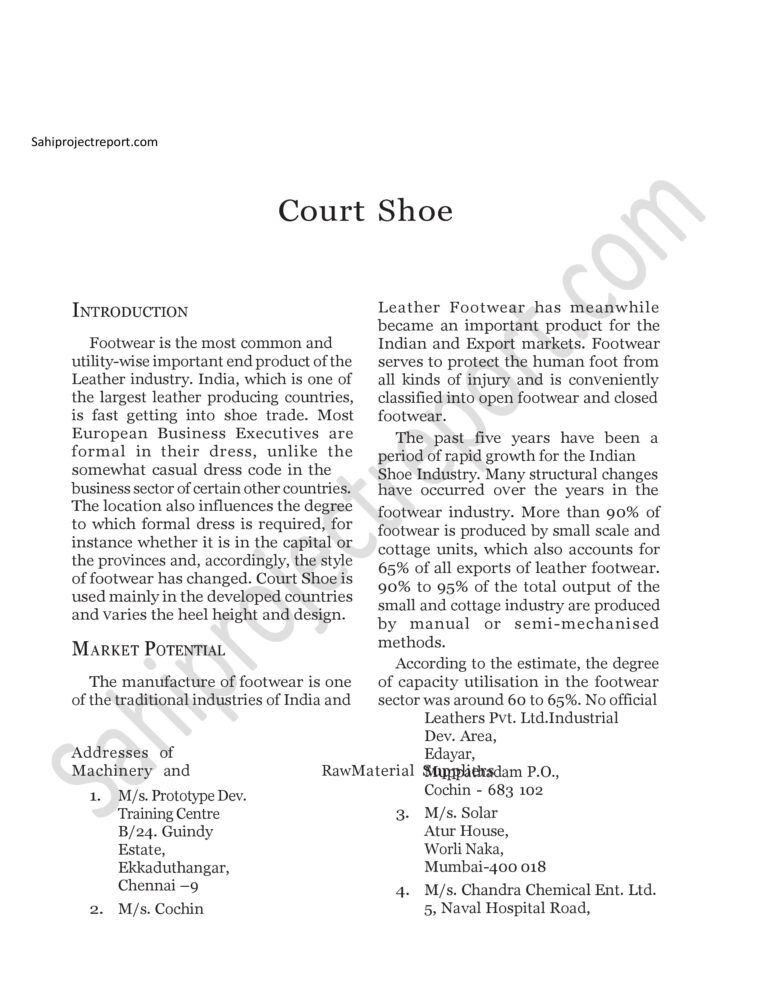 Read more about the article Sahi project report for  Court Shoe