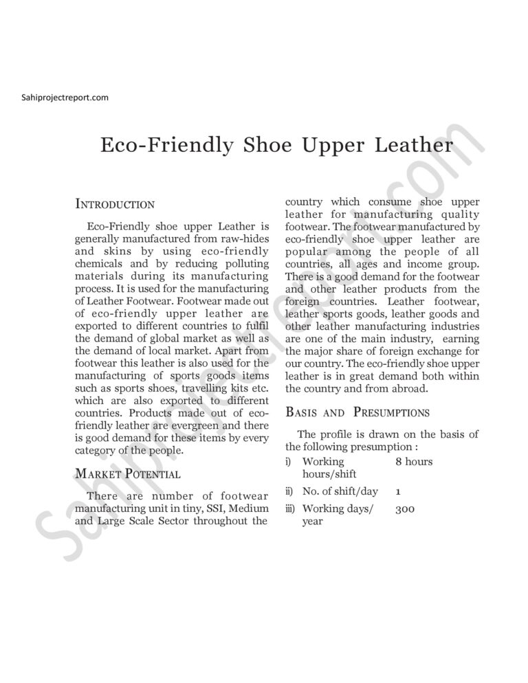 Read more about the article Sahi project report for  Eco-Friendly Shoe Upper Leather