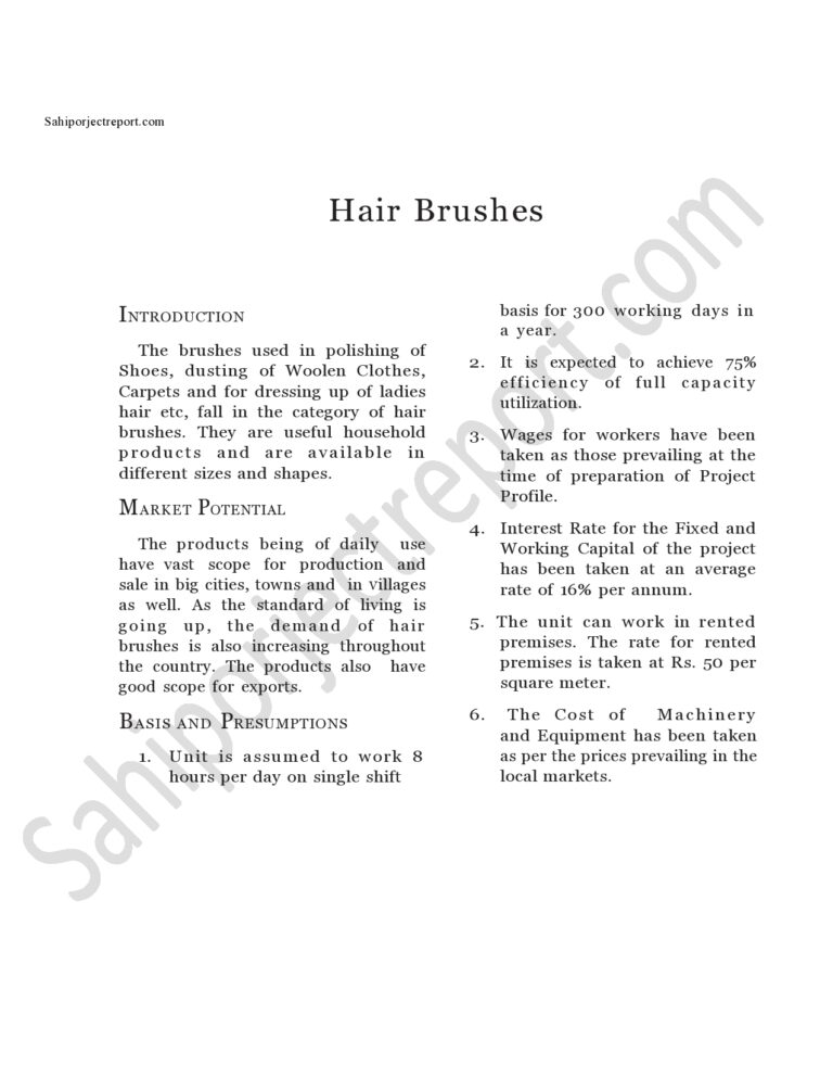 Read more about the article Sahi project report for Hair Brushes