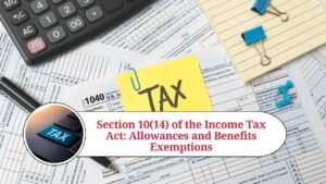 Read more about the article Understanding Section 10(14) of the Income Tax Act: Exemptions on Allowances and Perquisites