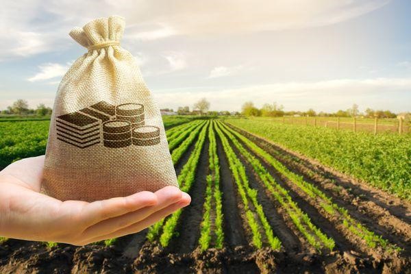 Read more about the article Understanding Section 10(31) of the Income Tax Act: Tax Exemptions for Agricultural Subsidies